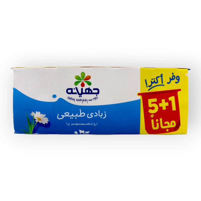 جهينة زبادي طبيعي كامل الدسم 105 جرام – 6 قطع